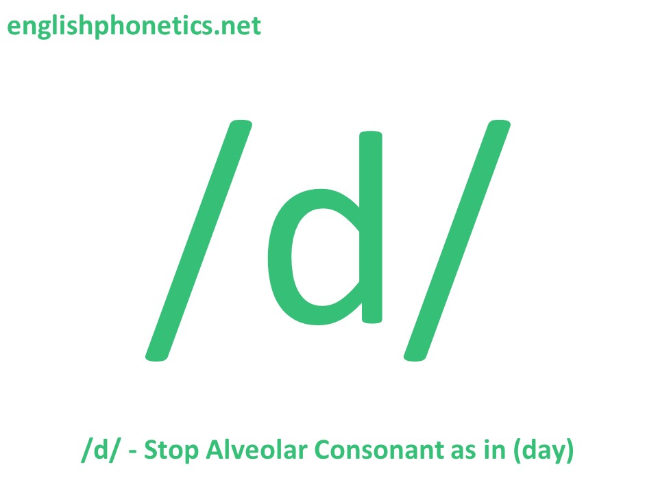 How to pronounce the sound /d/: voiced, alveolar, stop consonant
