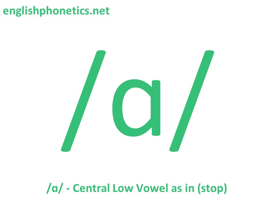 How to pronounce the sound /ɑ/: low, central, tense vowel