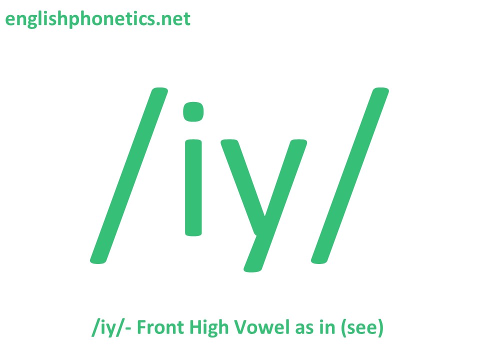 How to pronounce the sound /iy/: A high, front, tense vowel