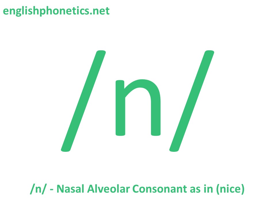 How to pronounce the sound /n/: voiced, alveolar, nasal consonant