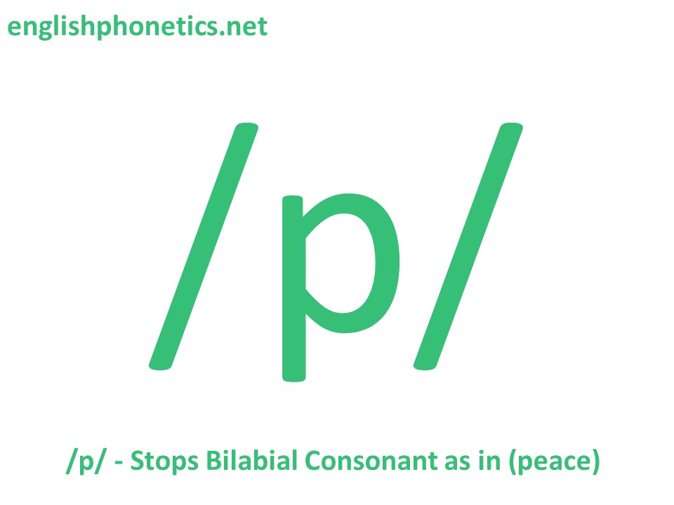 How to pronounce the sound /p/: voiceless, bilabial, stop consonant