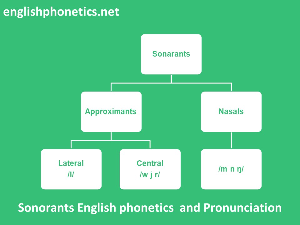 Sonorants english phonetics