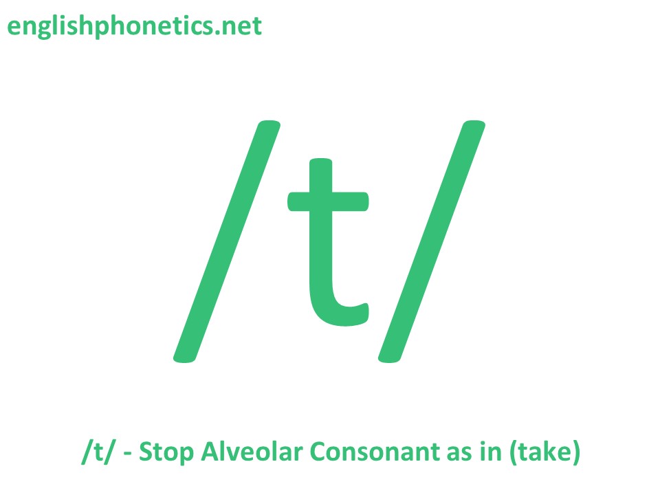 How to pronounce the sound /t/: voiceless, alveolar, stop consonant