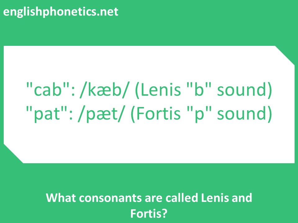  What consonants are called Lenis and Fortis?