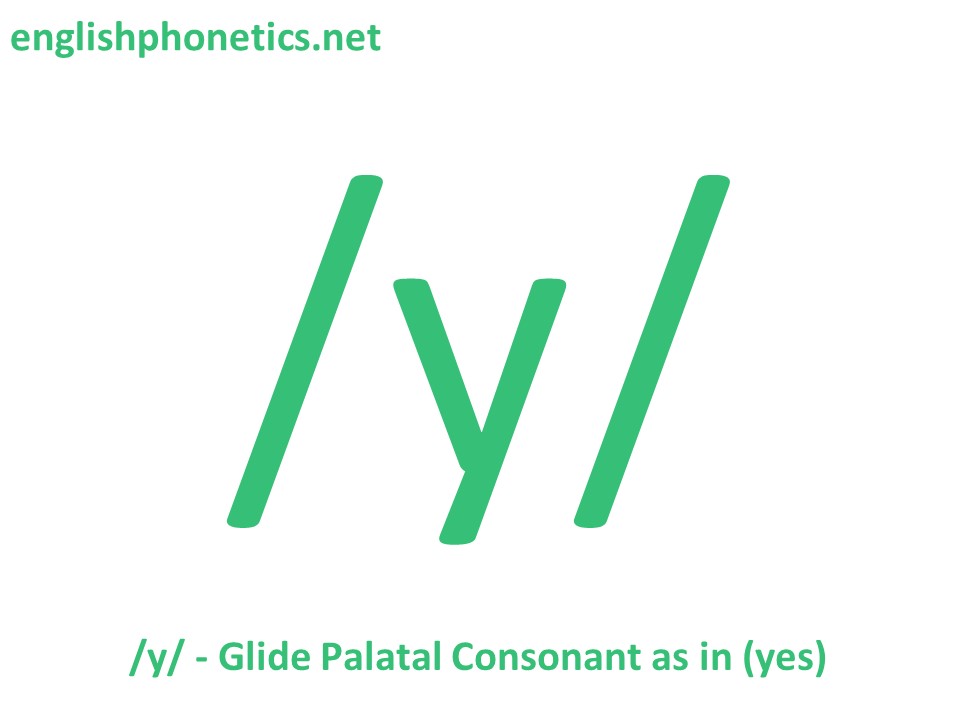 How to pronounce the sound /y/: voiced, palatal, glide consonant