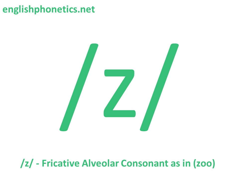 How to pronounce the sound /z/: voiced, alveolar fricative