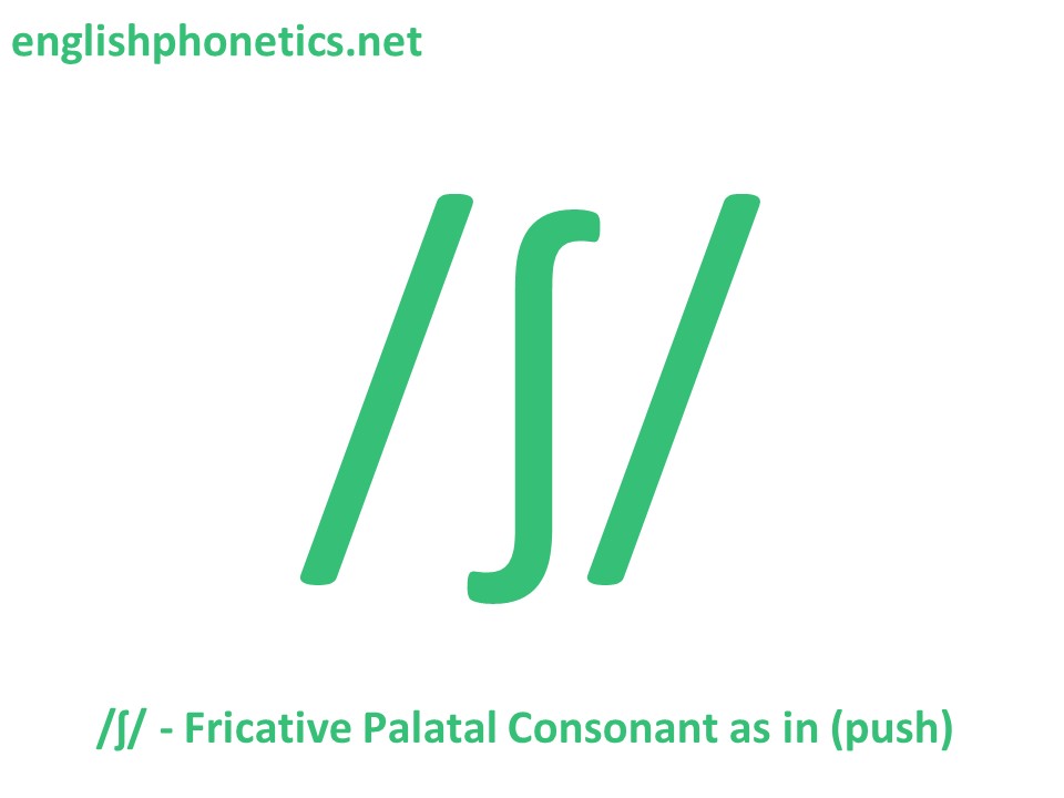 How to pronounce /ʃ/: voiced, alveo-palatal, fricative consonant