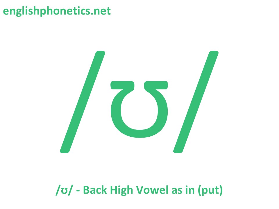 How to pronounce the sound /ʊ/: back, high, lax, rounded vowel